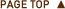 pagetop